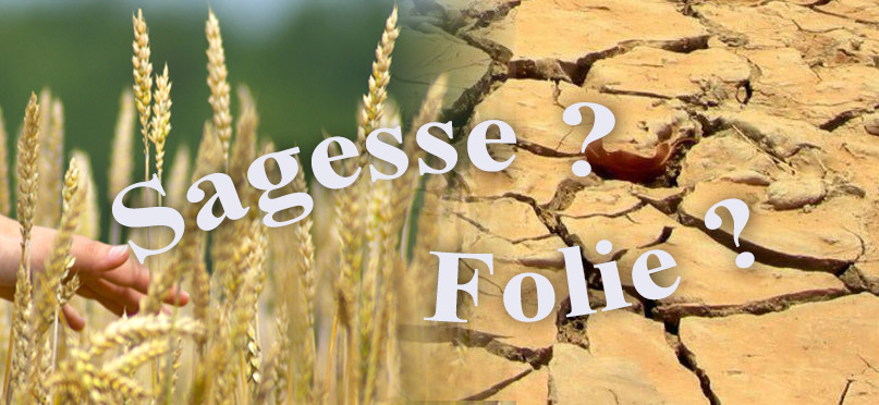 A votre avis… sagesse ou folie ?