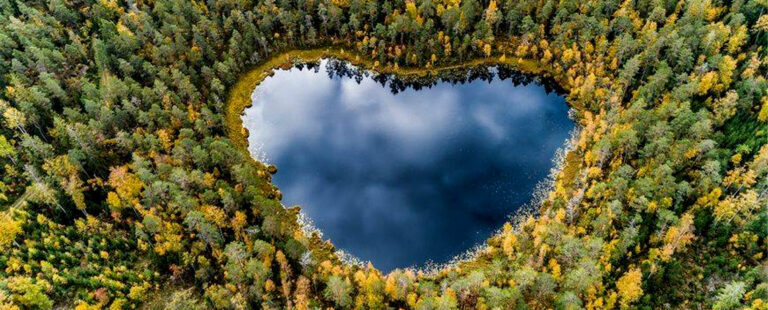 Lire la suite à propos de l’article Lettre ouverte à la nature